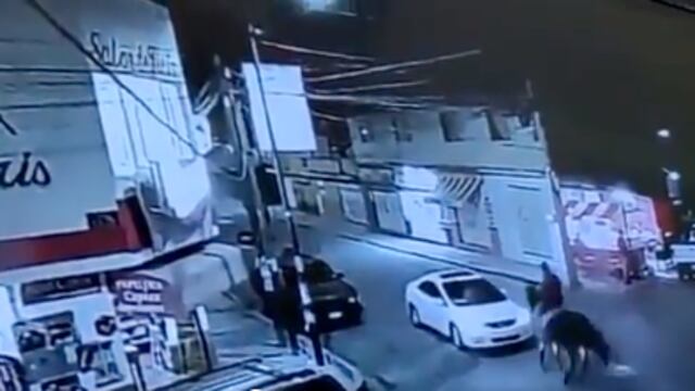 Caballo choca contra auto en Morelia