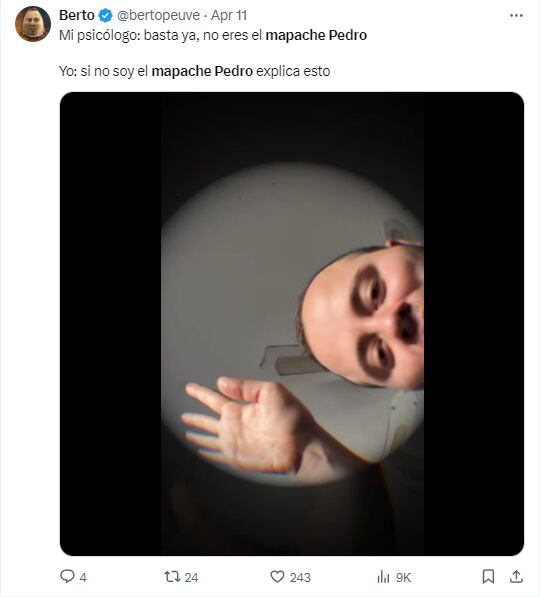 Memes del mapache "Pedro, Pedro"