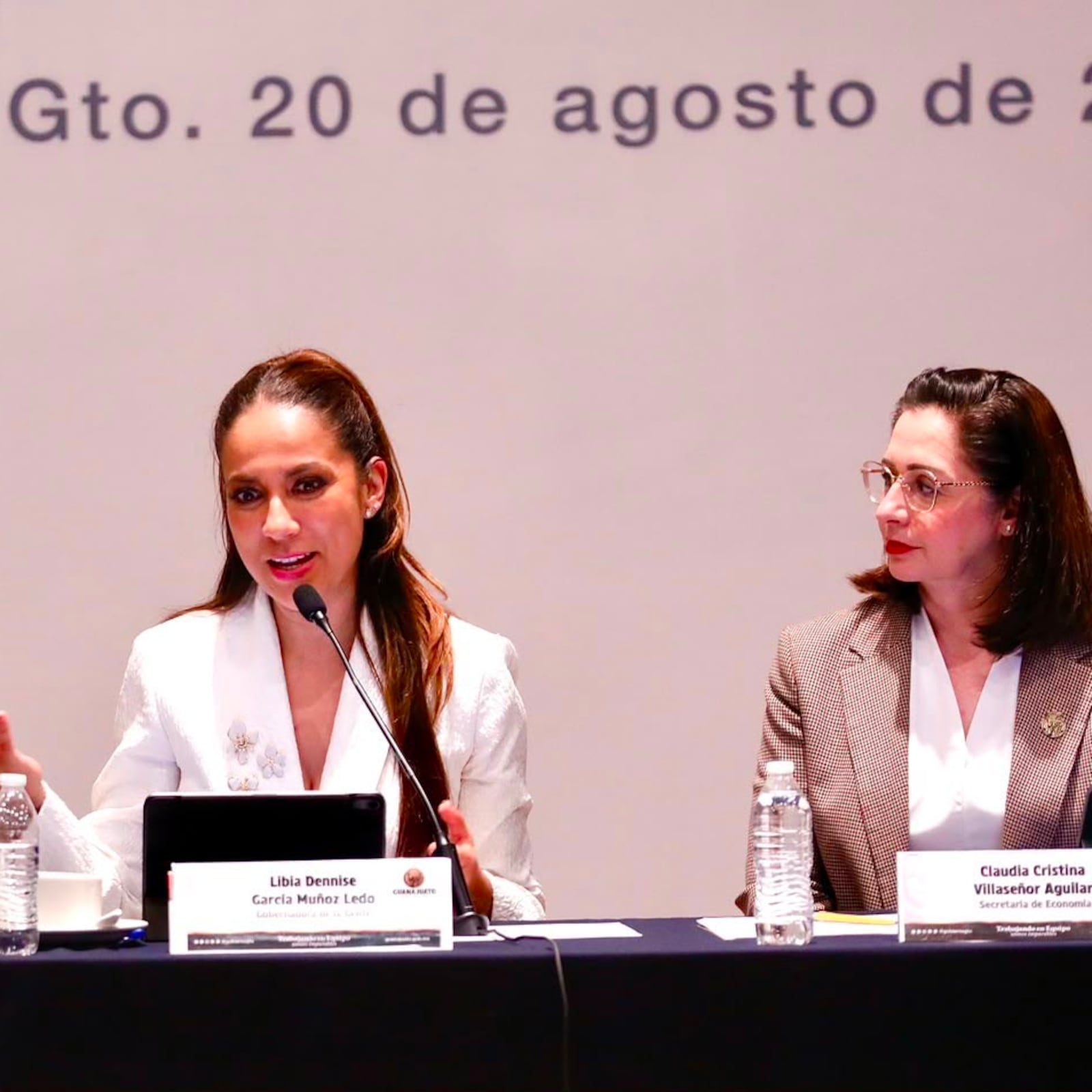 Libia Dennise García sostiene reunión con Emilia Calleja para atender necesidades eléctricas de Guanajuato