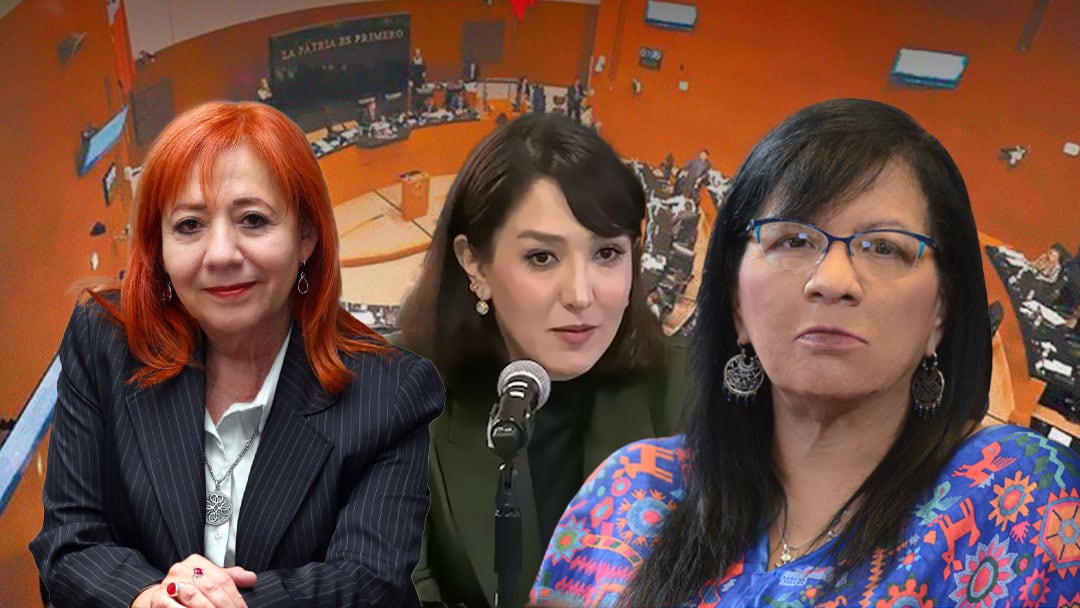 Rosario Piedra Ibarra, Paulina Hernández y Nashieli Ramírez, terna para la CNDH