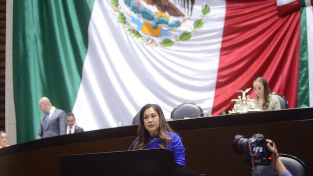 Sonia Mendoza, diputada federal de San Luis Potosí