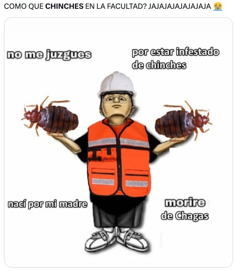 Plaga de chinches de la UNAM en CDMX desata los memes ansiosos de usuarios