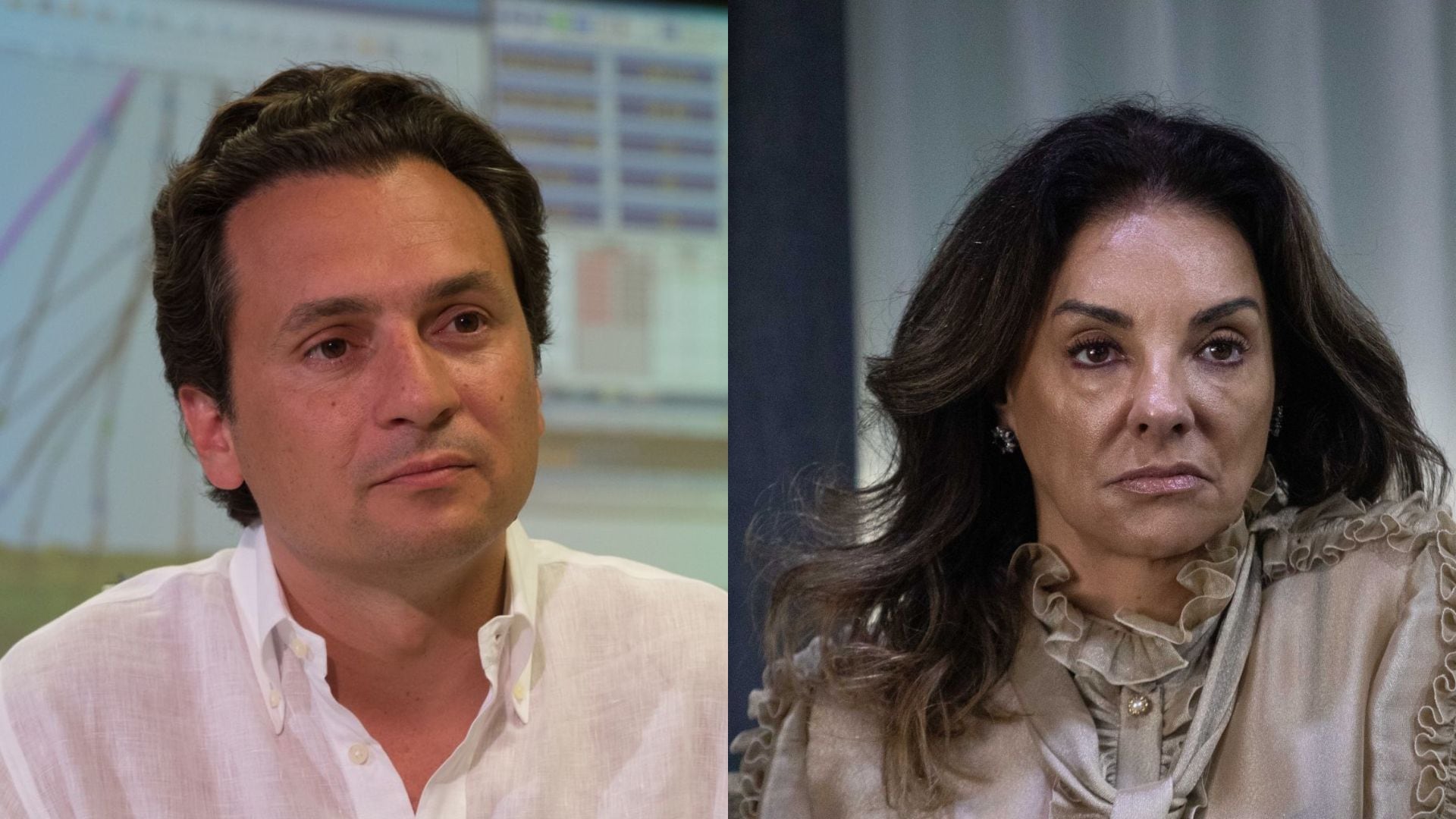 Emilio Lozoya, Lourdes Mendoza