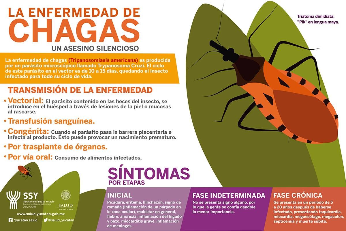 Enfermedad de chagas