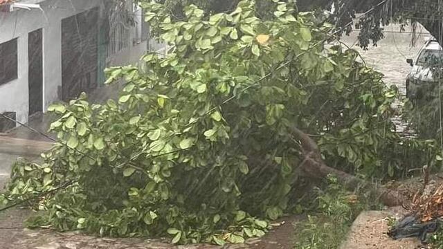 Huracán Alberto en vivo