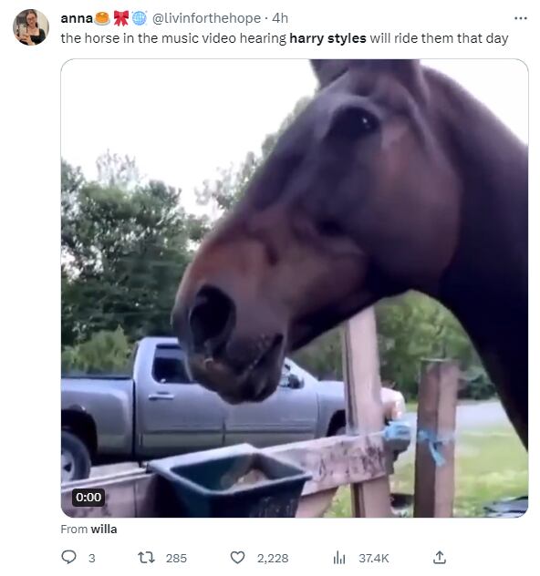 Memes de Harry Styles cerrando la era “Harry’s House”