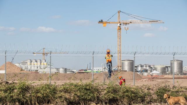 Trabajadores de la planta Constellation Brands. Consulta.