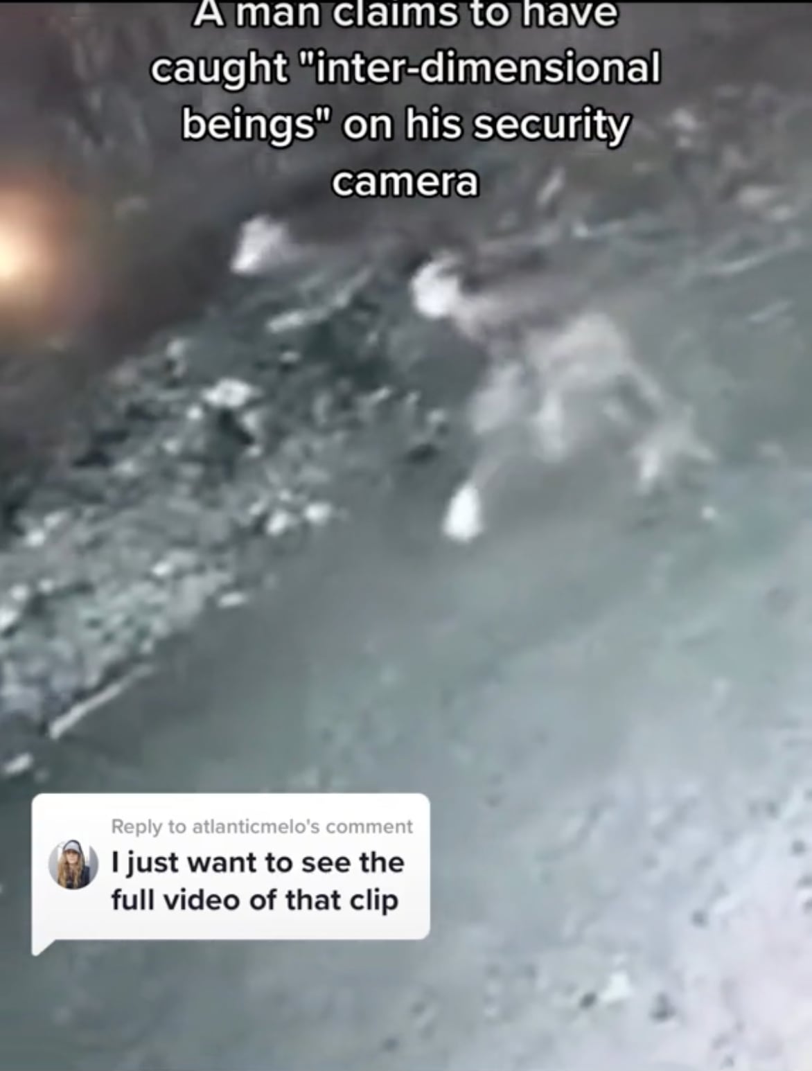 Criaturas interdimensionales, aterrador VIDEO en TikTok