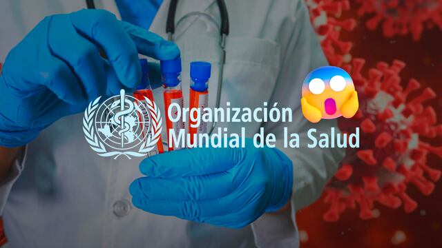 OMS revela nuevo informe sobre el posible origen del Covid-19