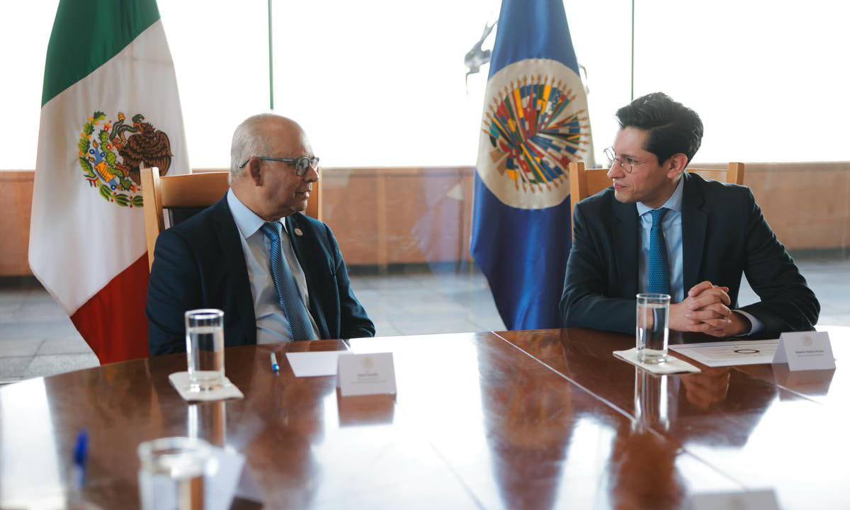 Roberto Velasco se reúne con el secretario de la OEA
