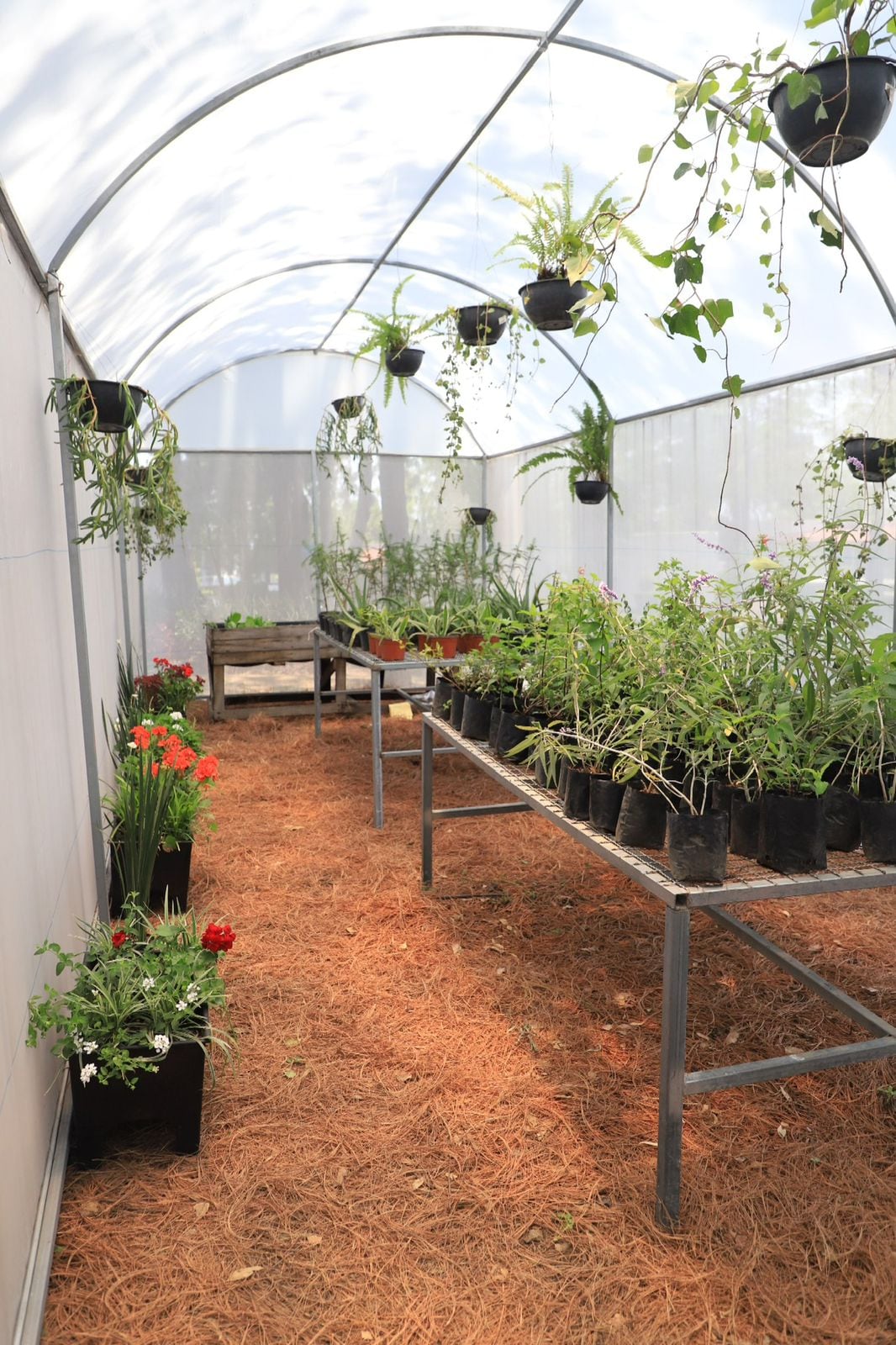 invernadero nuevo en Álvaro Obregón