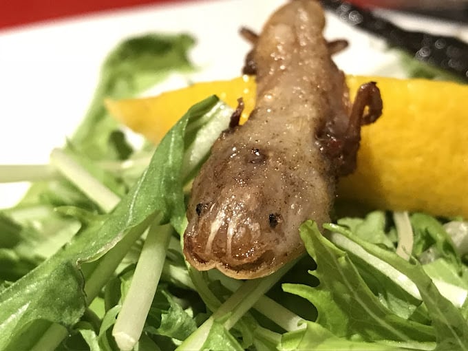 Ajolotes servidos en un restaurante japonés.