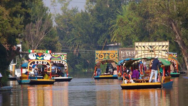 “De no hacer esto, Xochimilco se puede perder, ya ha habido grandes avisos y grandes amenazas de que Xochimilco lo estamos perdiendo”.