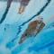 El mexicano Miguel de Lara es descalificado en la natación de París 2024 por insólita razón