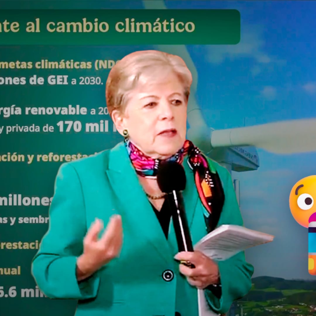Alicia Bárcena revela el sector que más gases de efecto invernadero emite