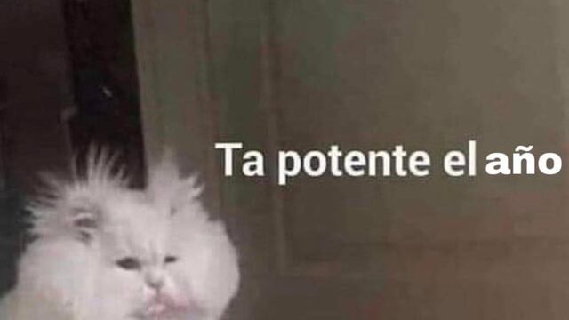 El 2023 ya llegó y los memes lo saben