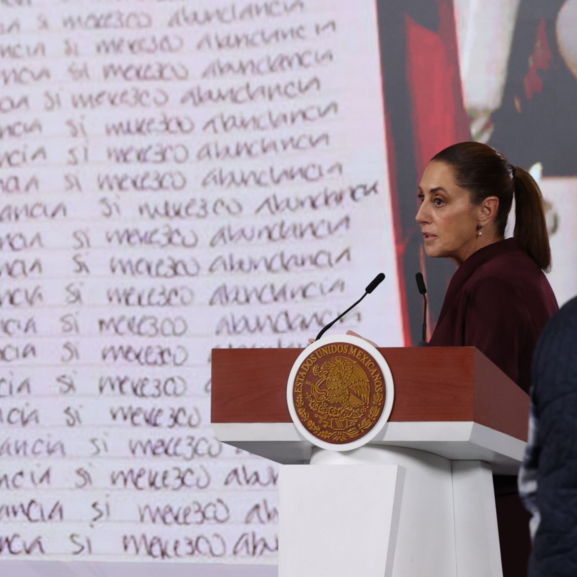 El asilo de la impunidad