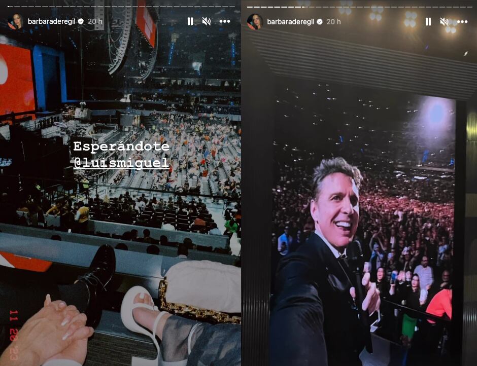 Bárbara de Regil acude al concierto de Luis Miguel y se queja del cantante
