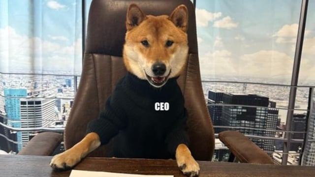 Elon Musk presenta a Chems, el nuevo CEO de Twitter