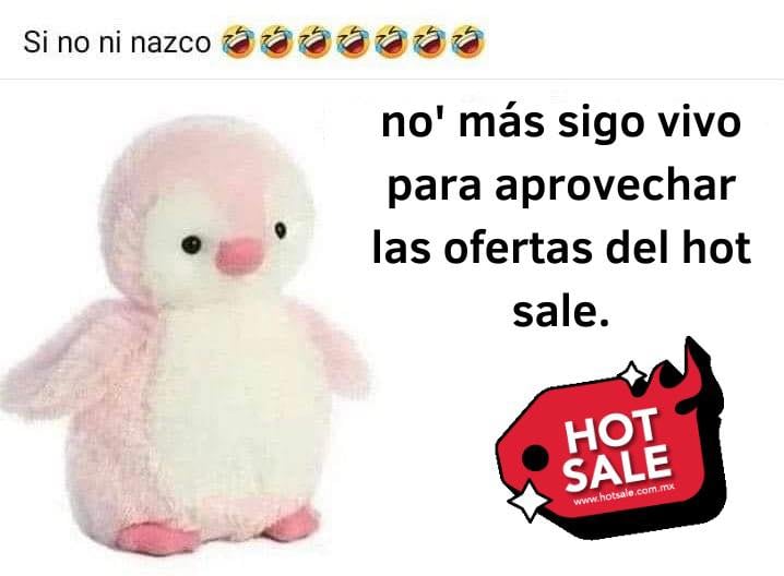 Memes Hot Sale 2023