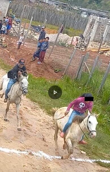 Niña de Chiapas gana competencia de jinetes