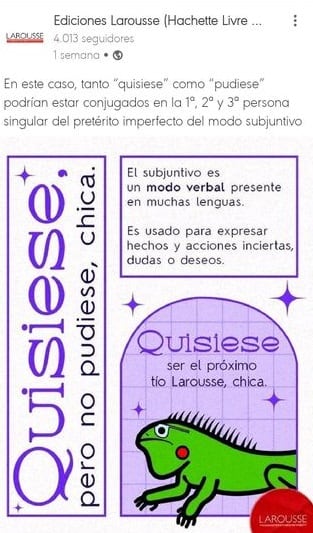 Larousse sobre frases de Daniela Rodrice.