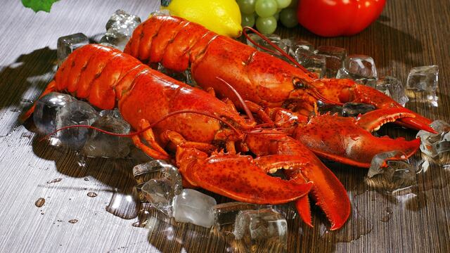 Prohibirán hervir langostas vivas, en Reino Unido