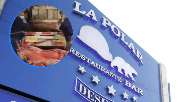 Encuentran más de 20 borregos en descomposición en La Polar