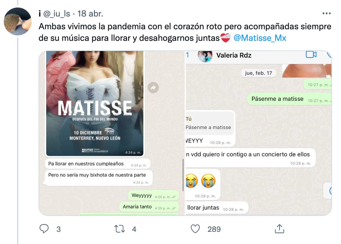 Valeria ya no logró ir con amiga a ver matisse