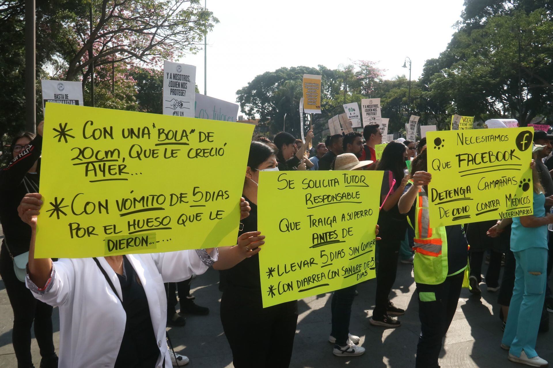 Veterinarios realizan marchas y paro ante asesinato de colega