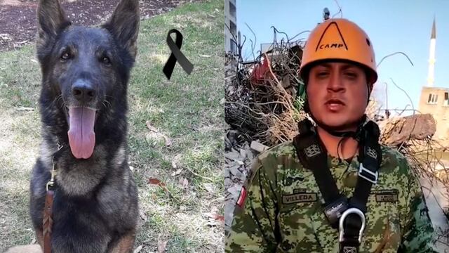 El entrenador de Proteo se despidió con emotivo mensaje