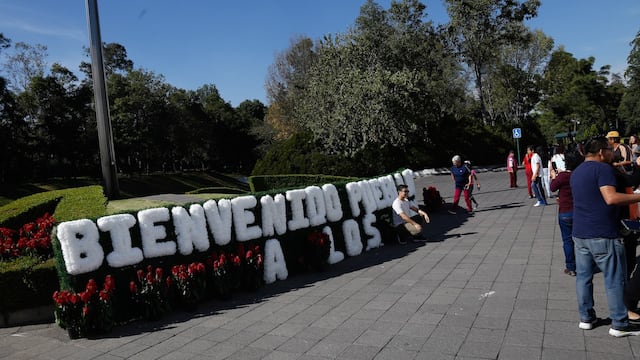 Los Pinos