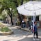 Canícula 2026: este día inicia el periodo más intenso de calor en México