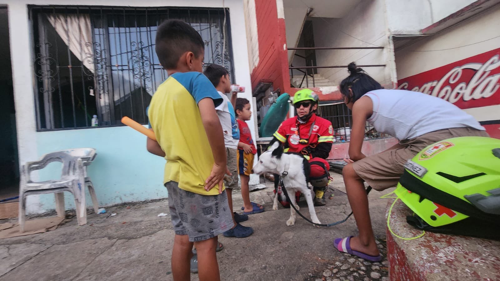 Orly y Hallley, los tiernos perritos que ayudan en Acapulco por el huracán Otis