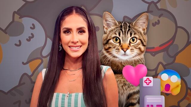 Cynthia Urías descubrió la gatoterapia