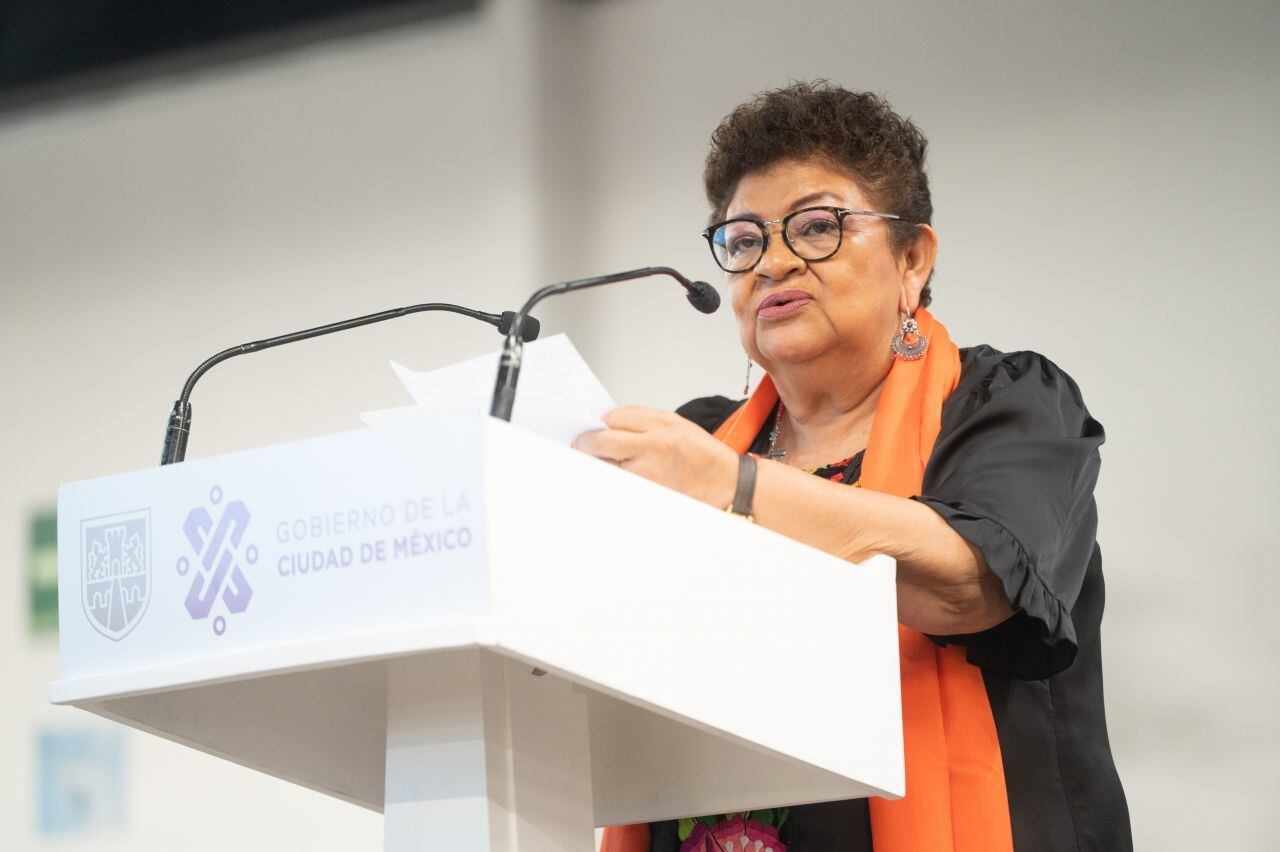 Fiscal de la Ciudad de México, Ernestina Godoy