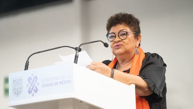 Fiscal de la Ciudad de México, Ernestina Godoy