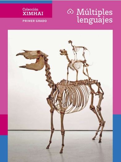 Libro Múltiples lenguajes para primer grado