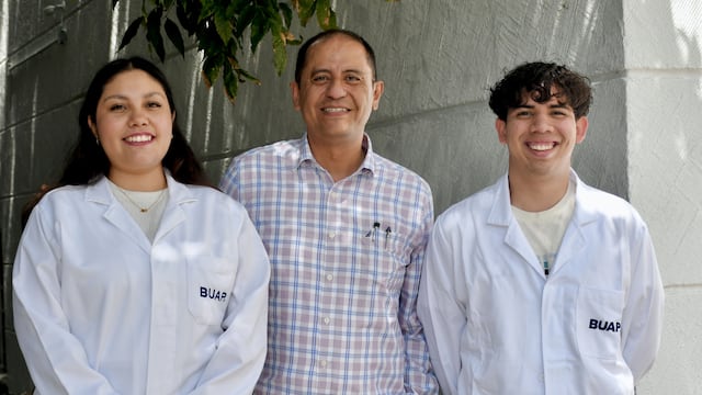 Investigadores de la BUAP analizan aceite esencial de orégano para inhibir hongos en el maíz.