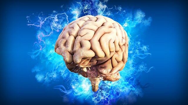 Cerebro