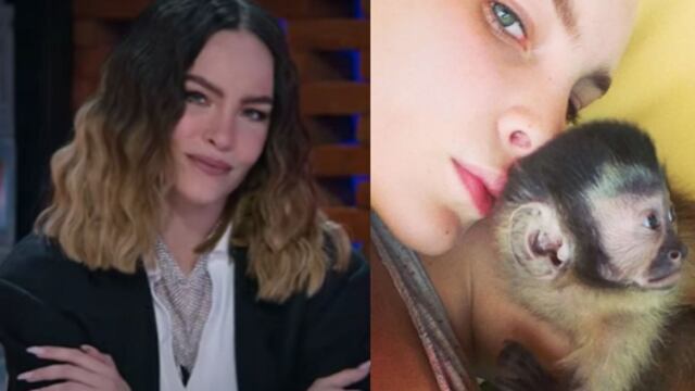 Acusan a Belinda de tener animales exóticos