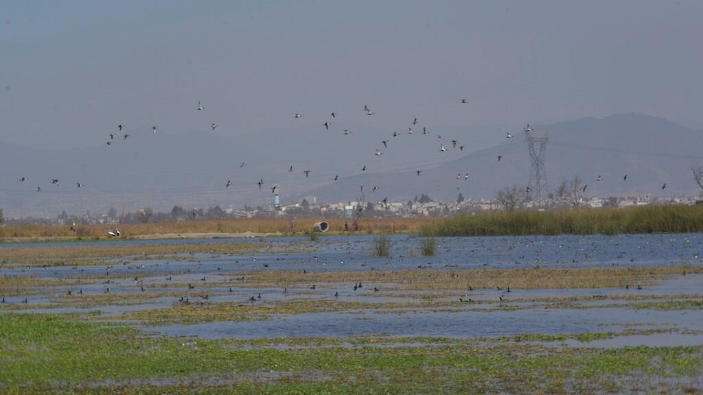 Humedales del Río Lerma