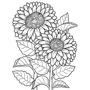 Girasoles como dibujo de flores amarillas para colorear