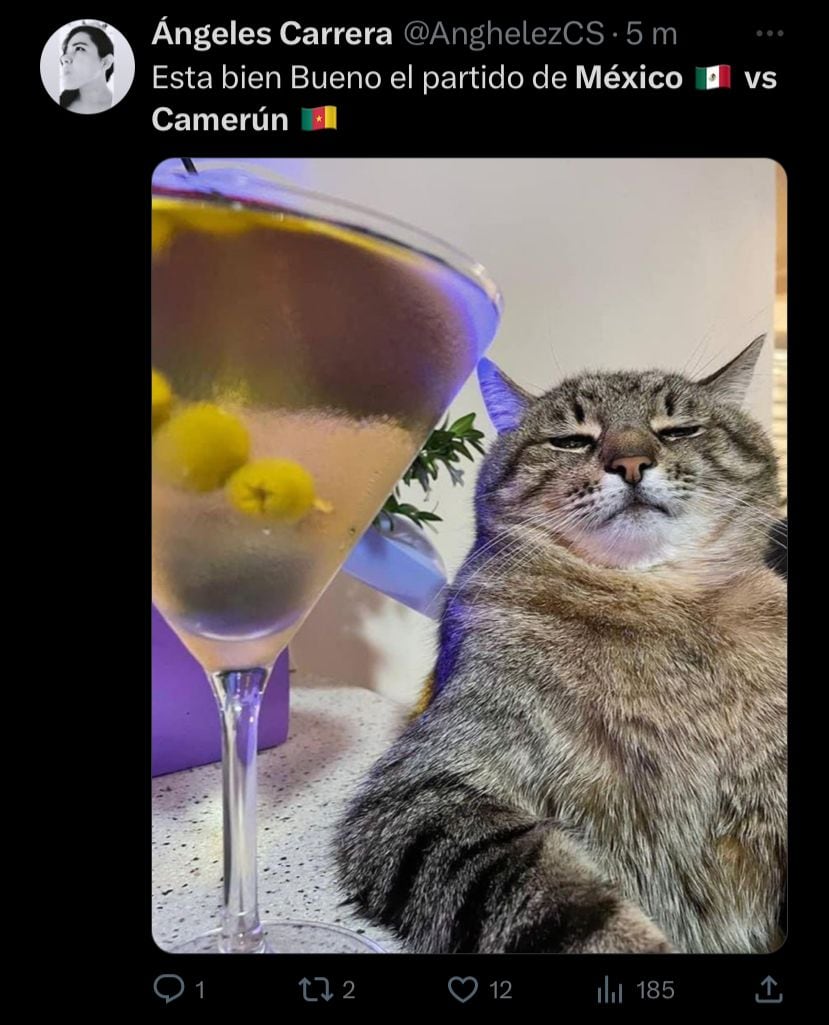 Memes Selección Mexicana.