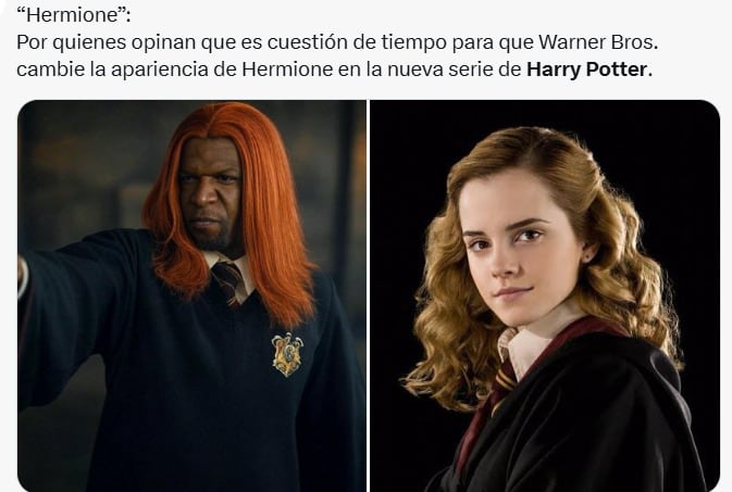 Memes sobre el elenco de la serie de Harry Potter