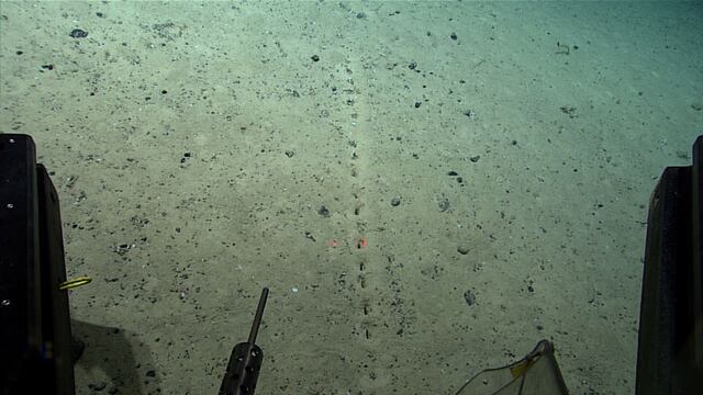 Extraña hilera de agujeros descubiertos en el fondo del mar