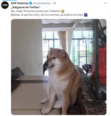 Memes lamentan la muerte de Cheems