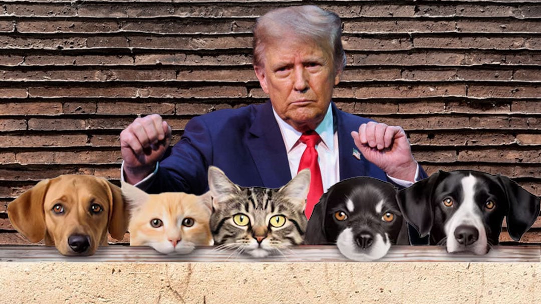 Donald Trump perritos y gatitos