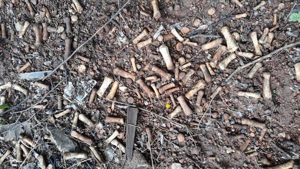 Restos encontrados en Culiacán.