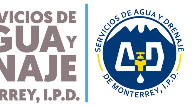 Me dicen que vinieron a sustituir a los medidores de bronce con unos de plástico de manufactura barata que se viven rompiendo y adivine quién los paga: Sí, el usuario